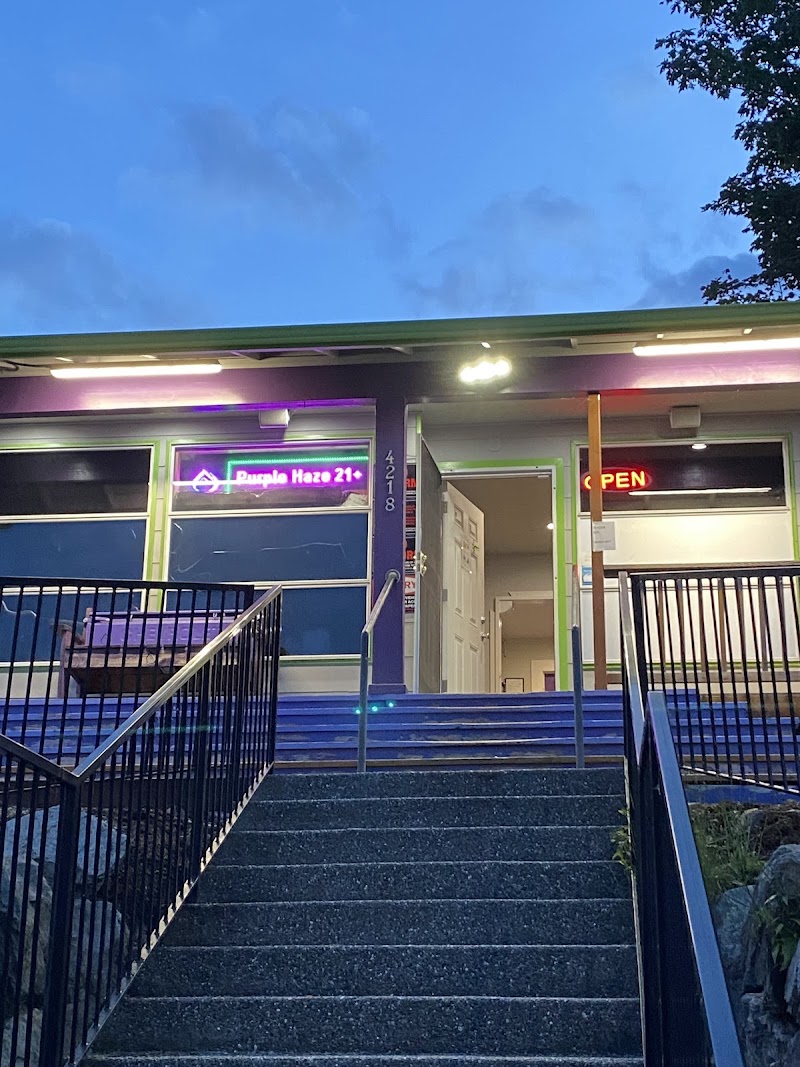 Purple Haze - Everett Purple Haze - Everett