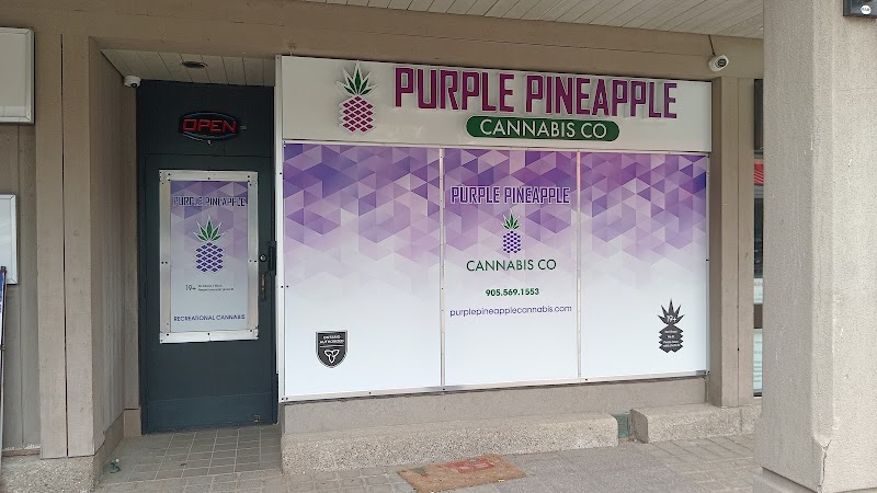 Purple Pineapple Cannabis Co.