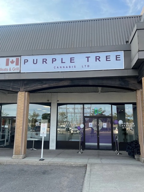 Purple Tree Cannabis - Mississauga Purple Tree Cannabis - Mississauga