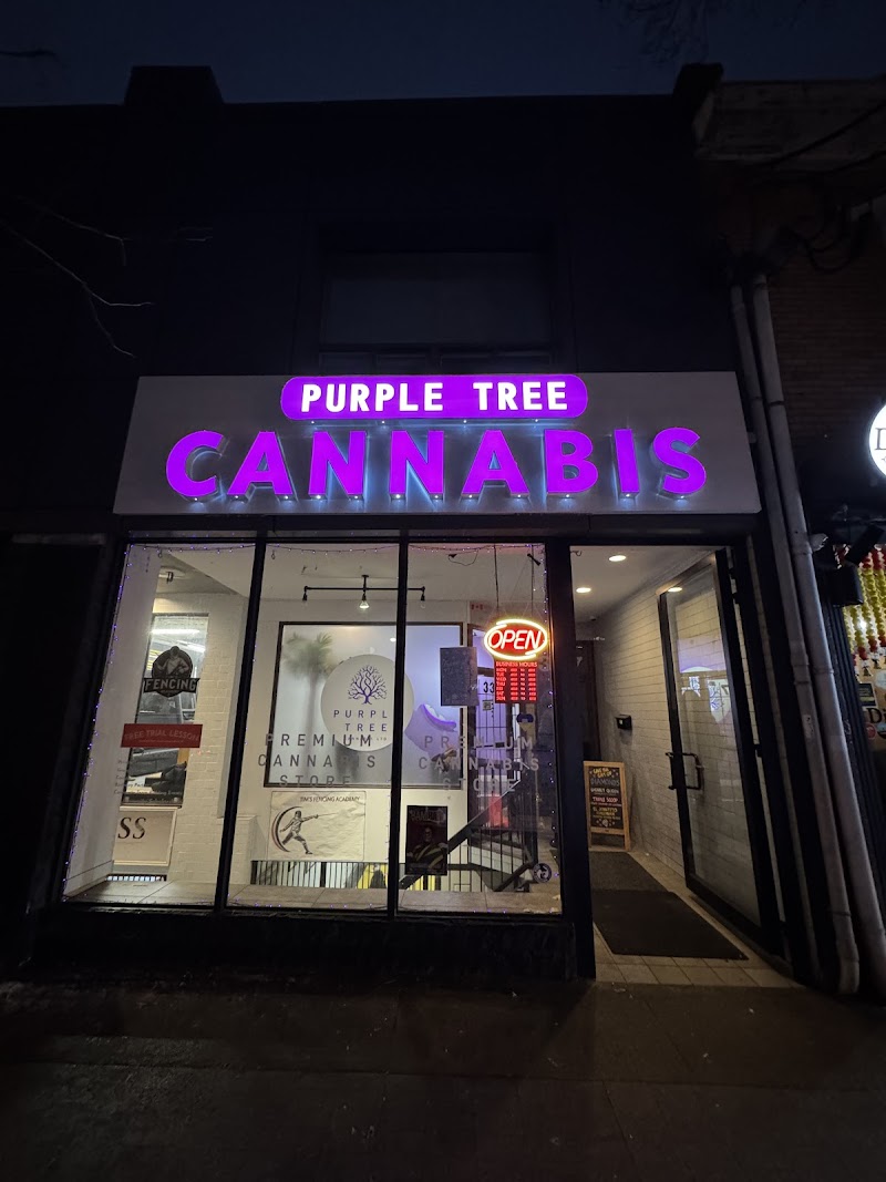 Purple Tree Cannabis - Toronto Dispensary Purple Tree Cannabis - Toronto Dispensary