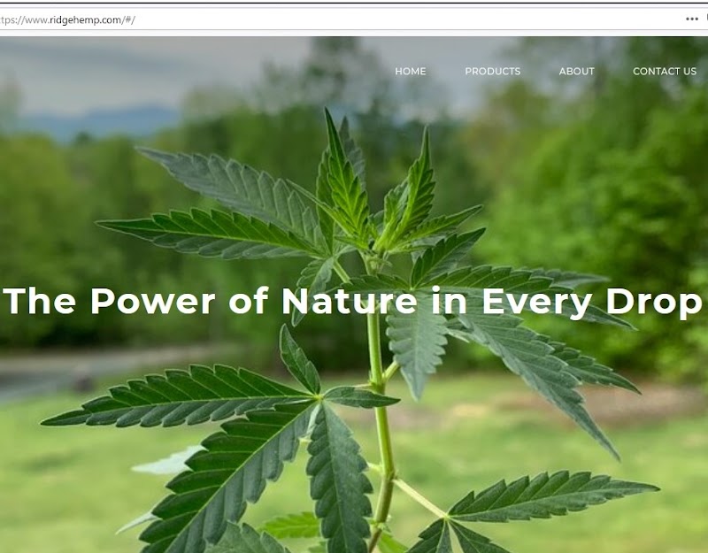 Ridge Hemp Wellness
