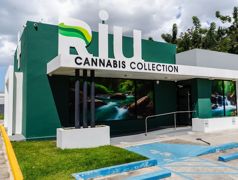 RIU Cannabis Collection