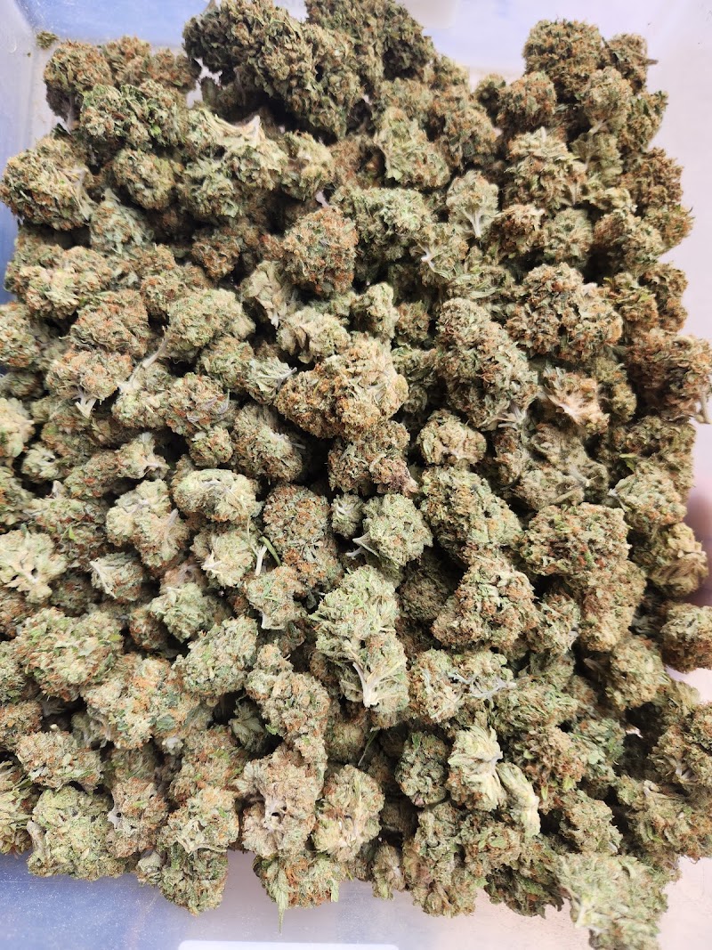 Roadrunner Organics LLC., Cannabis Dispensary
