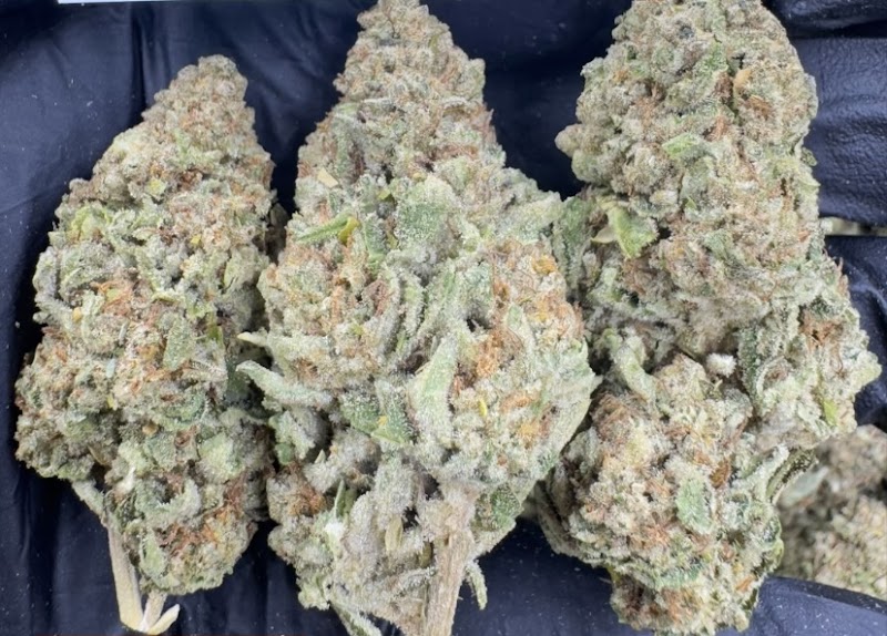 SAFE HOUSE CANNABIS กัญชาเกรดพรีเมียม ร้านขายกัญชาเกรดพรีเมียมราคาถูกคุณภาพดี Made in Thailand