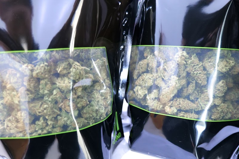 Samnesia Cannabis farm Samnesia Cannabis farm