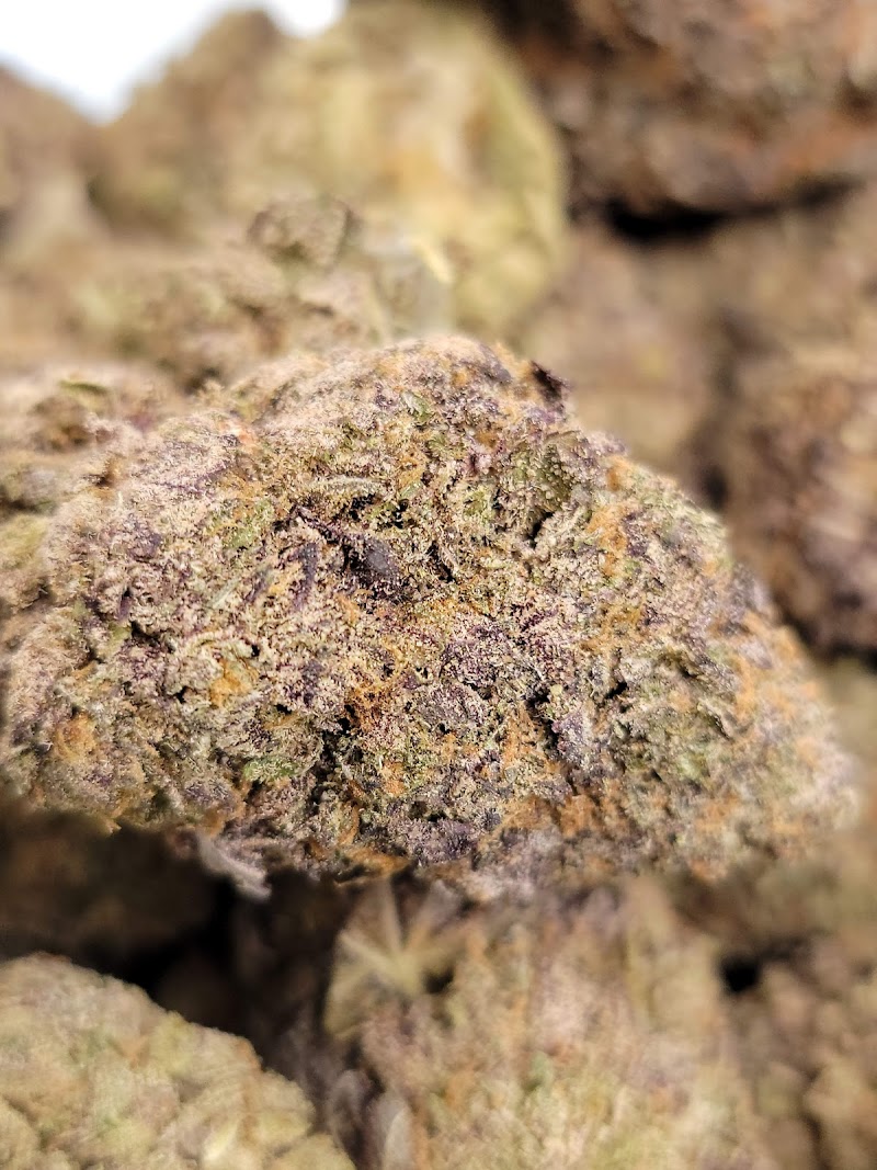 SANNNY'S CANNABIS