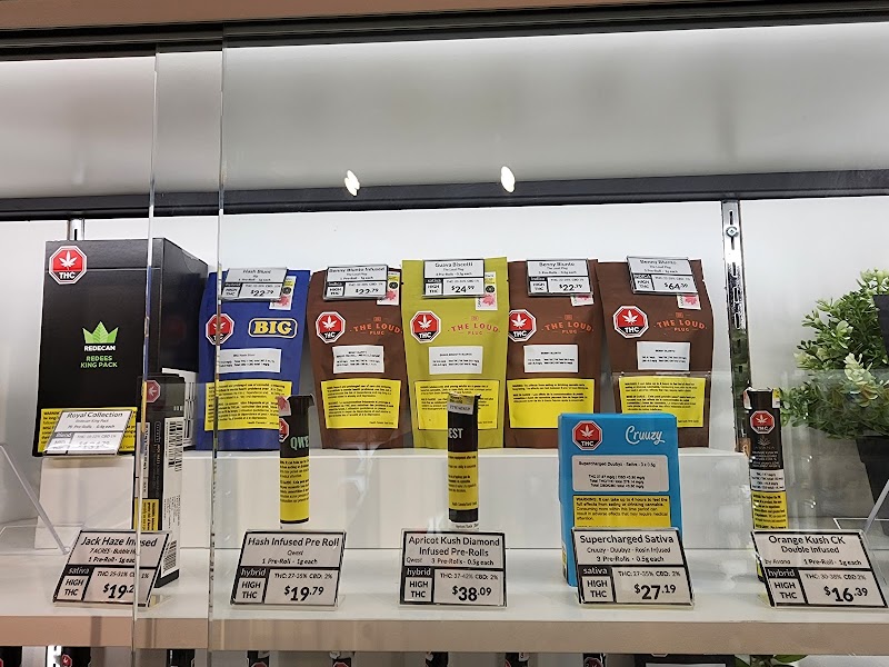 Sativa Bliss Cannabis Dispensary. Etobicoke's Most Trusted Cannabis Store Sativa Bliss Cannabis Dispensary. Etobicoke's Most Trusted Cannabis Store