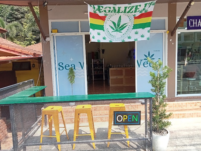 Sea Weed Canabis Shop Sea Weed Canabis Shop