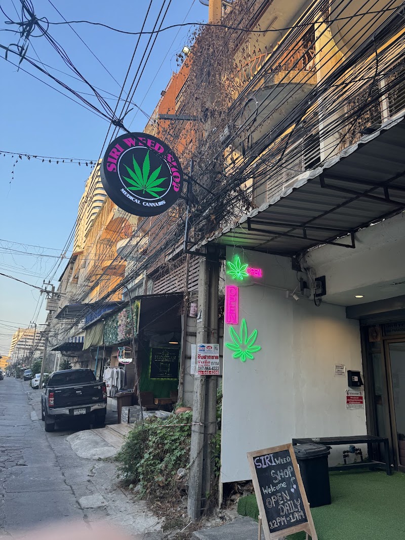 Siri weed shop paradise. Dispensary cannabis store rama 9.