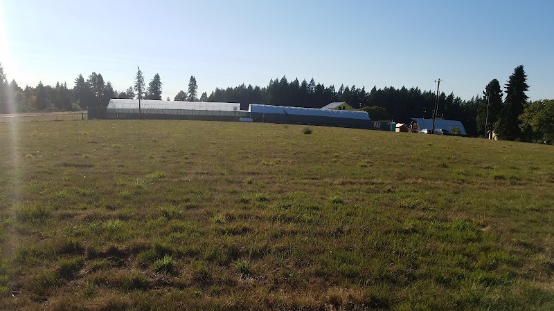 Skunk Farm