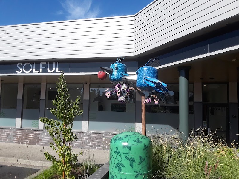 Solful Cannabis Dispensary - Sebastopol