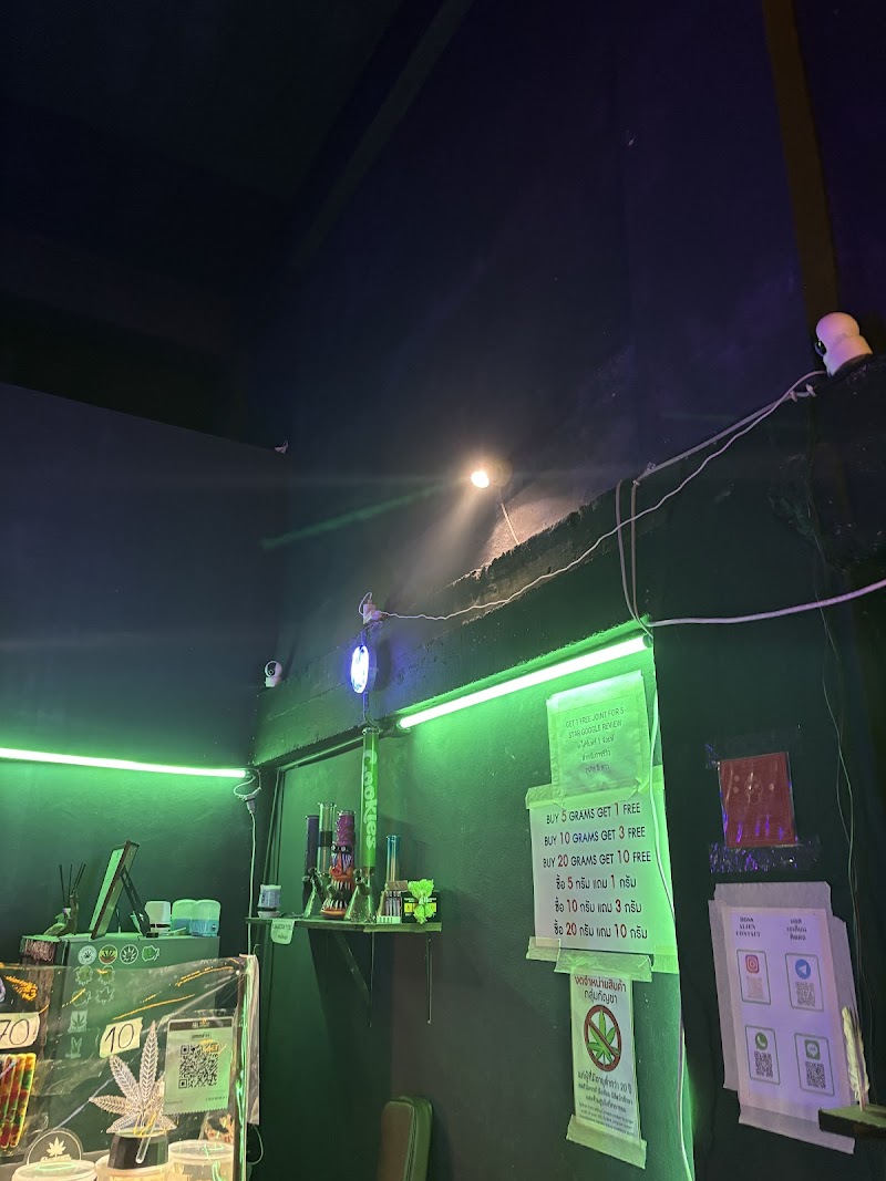 Space Farm San Kamphaeng - Weed Shop Cannabis Dispensary 大麻商店 cửa hàng cần sa ဆေးခြောက်ဆိုင်