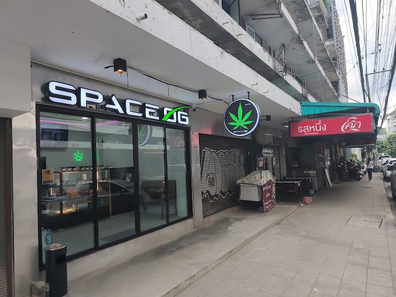 Space OG Weed Shop 大麻