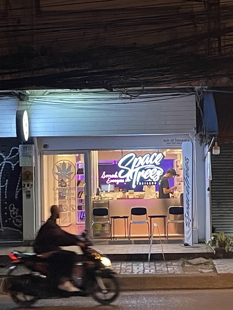 Space Trees: Cannabis Dispensary Chiang Mai Space Trees: Cannabis Dispensary Chiang Mai
