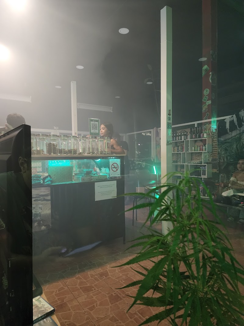Stash BKK On Nut Cannabis shop