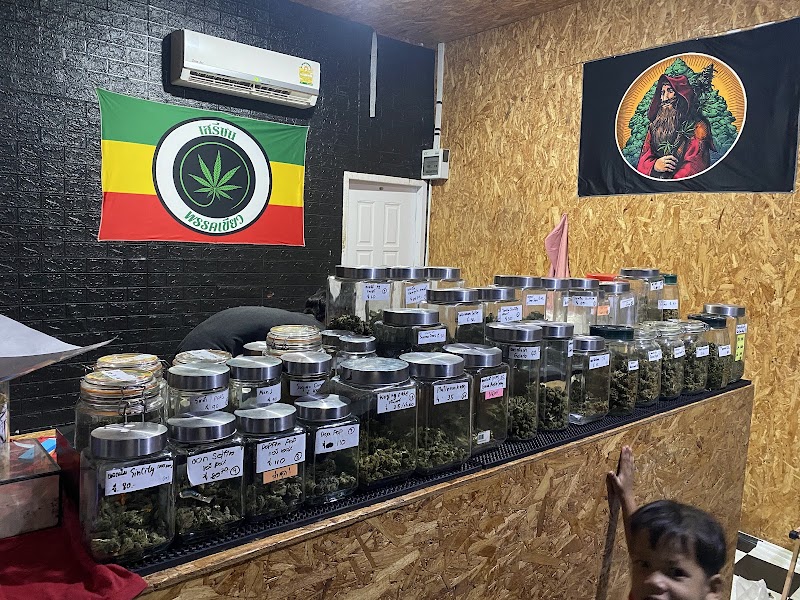 ST.Cannabis เอสทีแคนนาบีส ตลาดจางวาง
