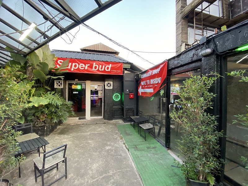 Superbud@Weed Shop Ganj Chiang - Best Cannabis in Chiangmai 大麻店 Superbud@Weed Shop Ganj Chiang - Best Cannabis in Chiangmai 大麻店