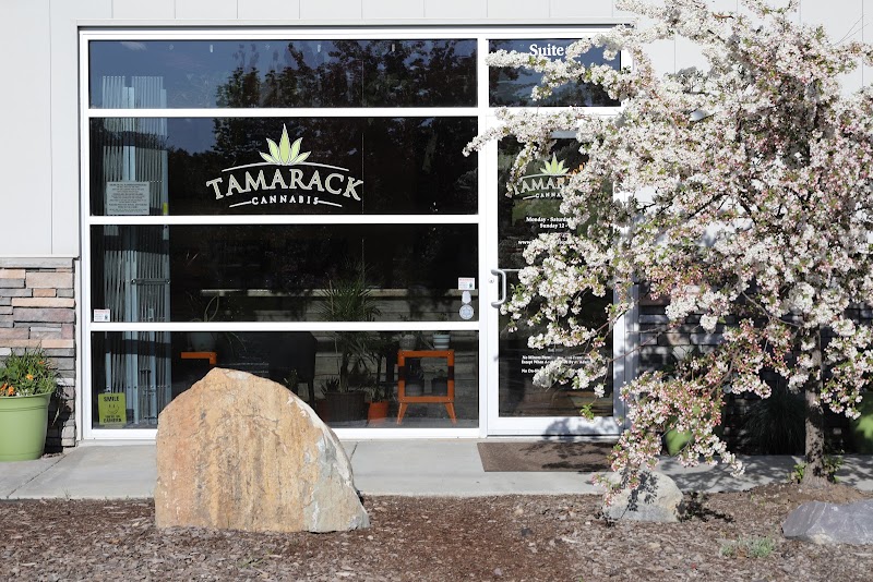 Tamarack Cannabis - Best Dispensary Kalispell Tamarack Cannabis - Best Dispensary Kalispell
