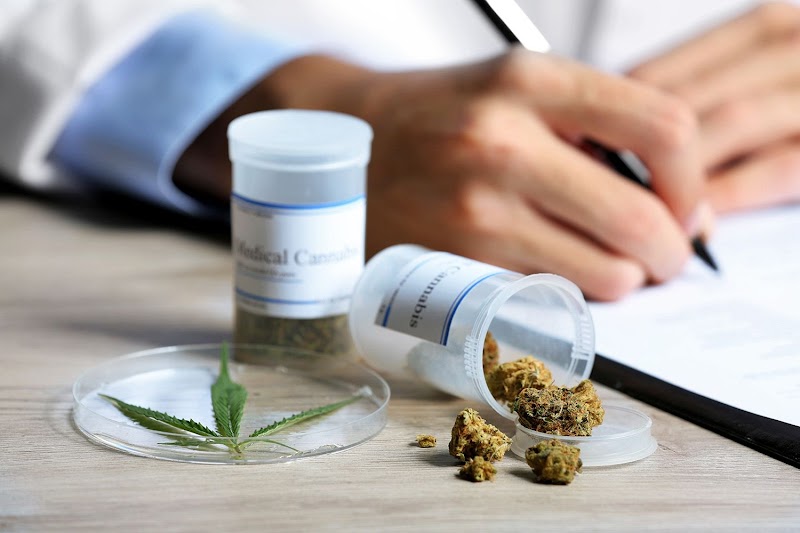 Tetra Horizon | Marijuana Doctor