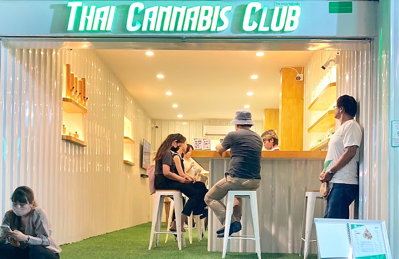 Thai Cannabis Club - Patpong Thai Cannabis Club - Patpong