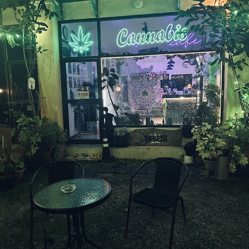 Thai Weed Shop กัญชาไทย Weed&Snus