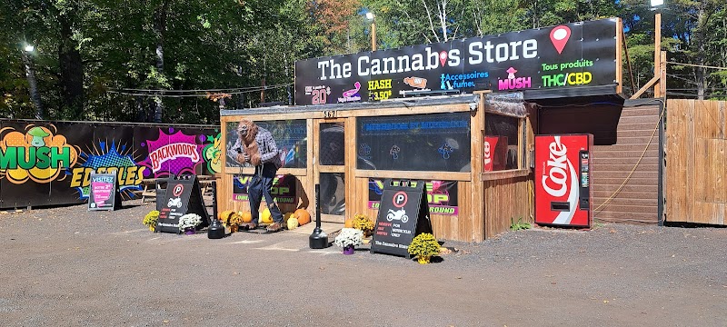 the cannabis store the cannabis store