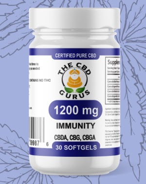 THE CBD GURUS
