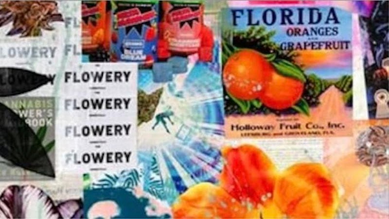 The Flowery Dispensary Fern Park