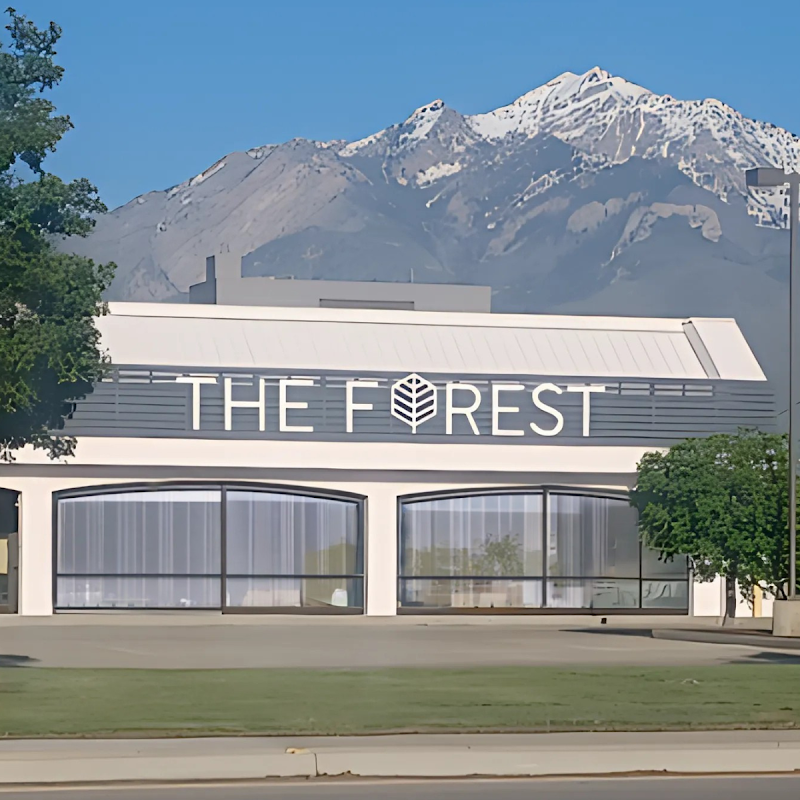 The Forest Murray