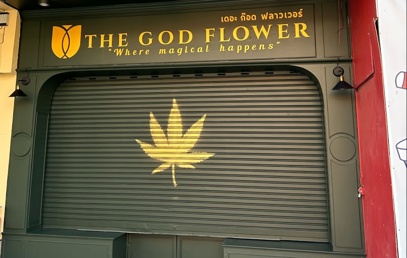 The God Flower Premium Cannabis Dispensary Branch 2 Tha Phae Gate The God Flower Premium Cannabis Dispensary Branch 2 Tha Phae Gate