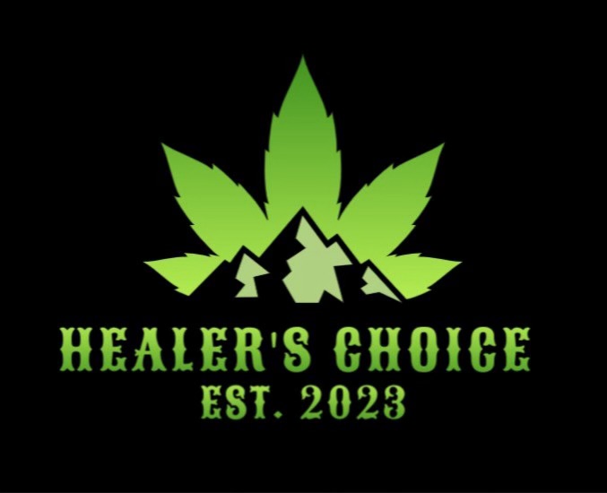 The Healer's Choice The Healer's Choice