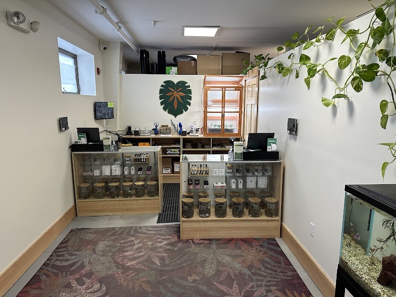 The Hidden Grove Cannabis Dispensary The Hidden Grove Cannabis Dispensary
