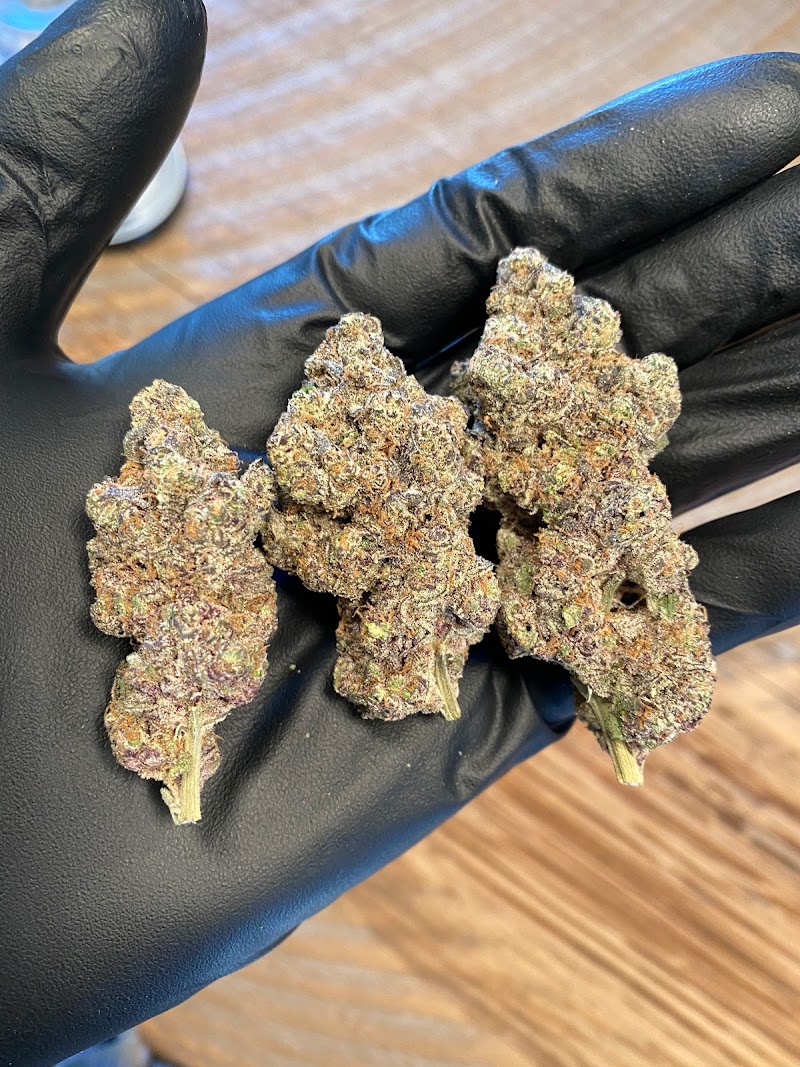 The M&M Connection / Cannected Dispensary The M&M Connection / Cannected Dispensary
