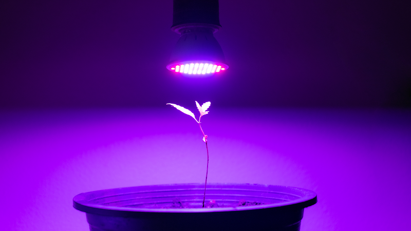 The New Grow Center LLC