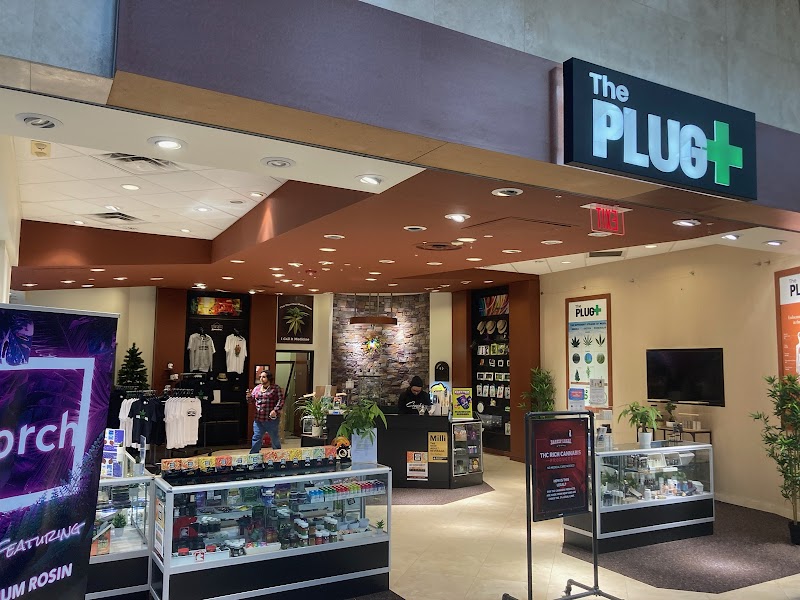 THE PLUG THE PLUG