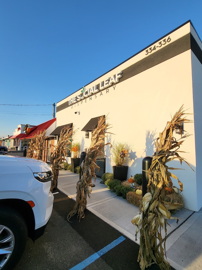 The Social Leaf