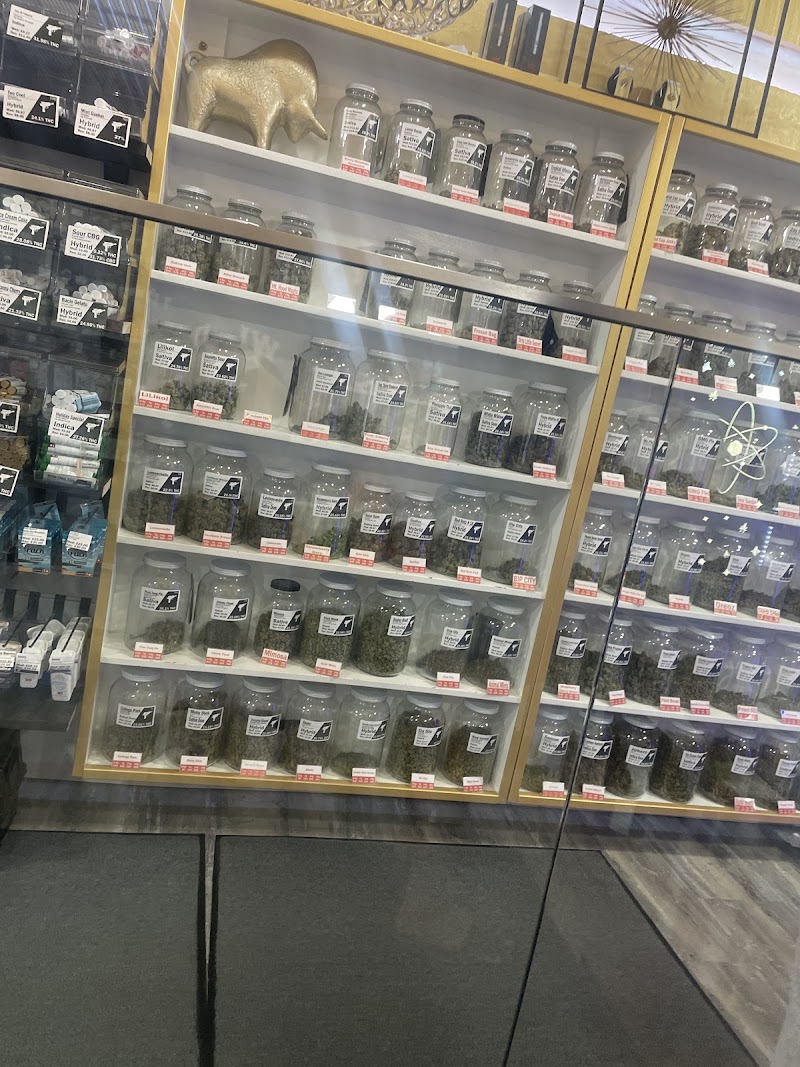 The Spot Cannabis Collective Ashland The Spot Cannabis Collective Ashland
