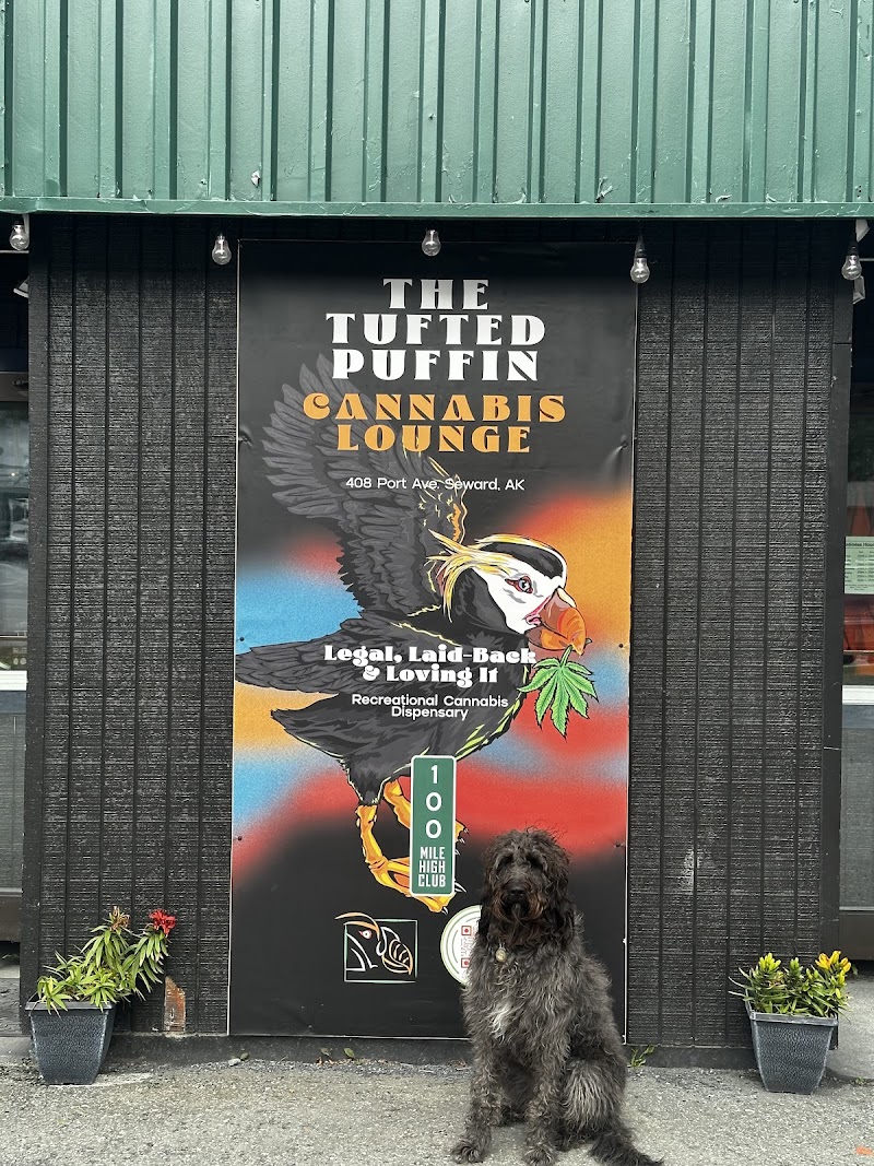 The Tufted Puffin - Seward, Alaska Harbor The Tufted Puffin - Seward, Alaska Harbor