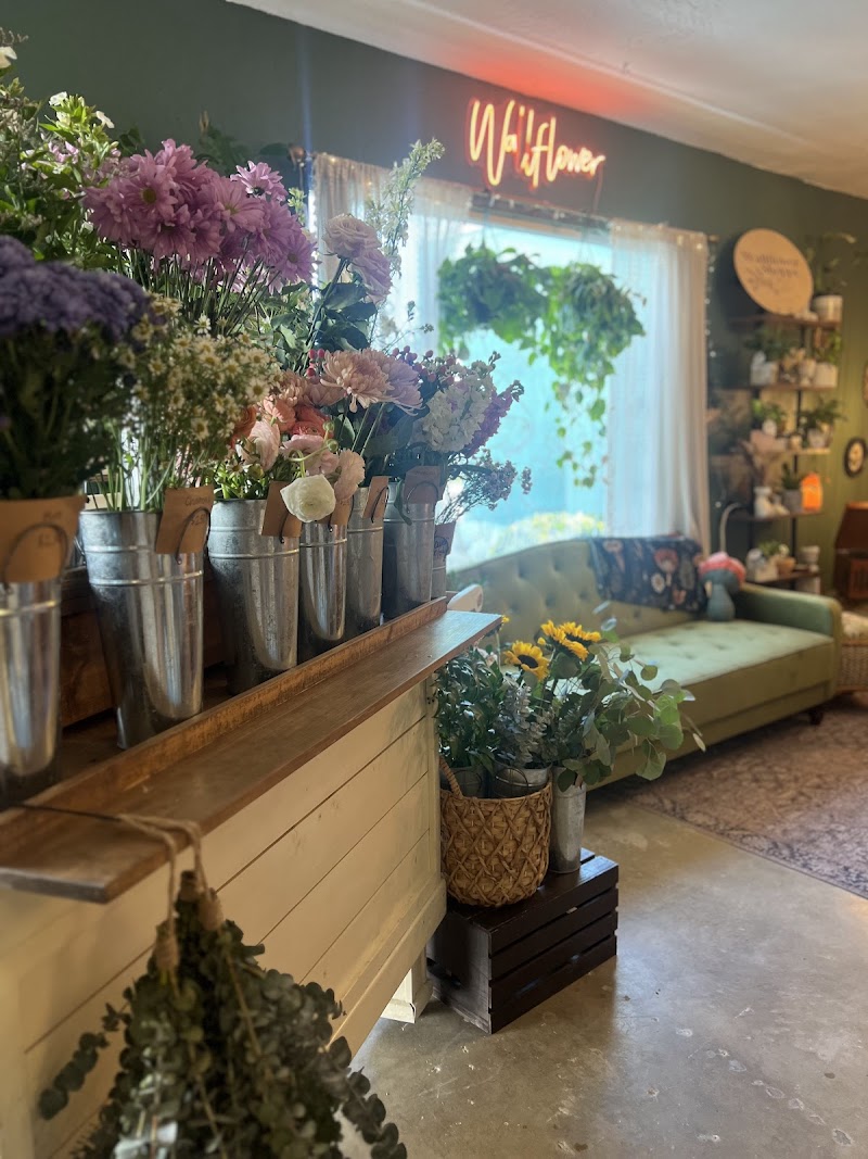 The Wallflower Shoppe