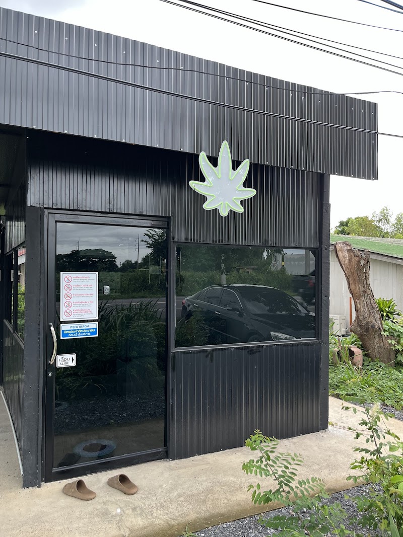 Theo5star cannabis