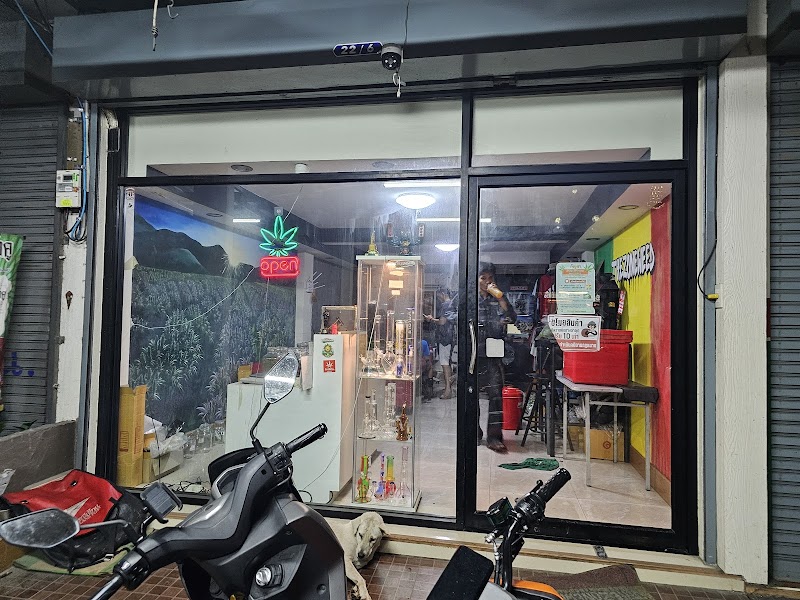 THEZONEWEED เดอะโซนวีด ร้านกัญชาคุณภาพ