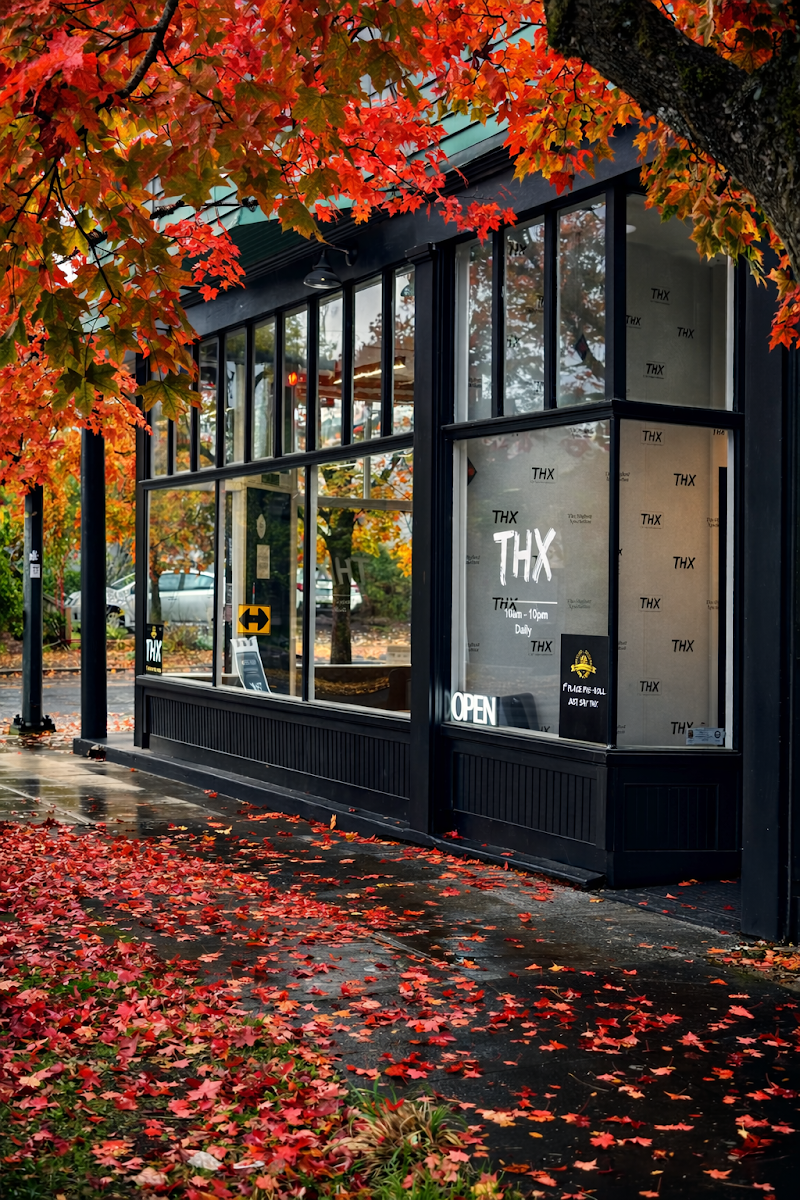 THX Cannabis Dispensary – Alberta, Portland THX Cannabis Dispensary – Alberta, Portland