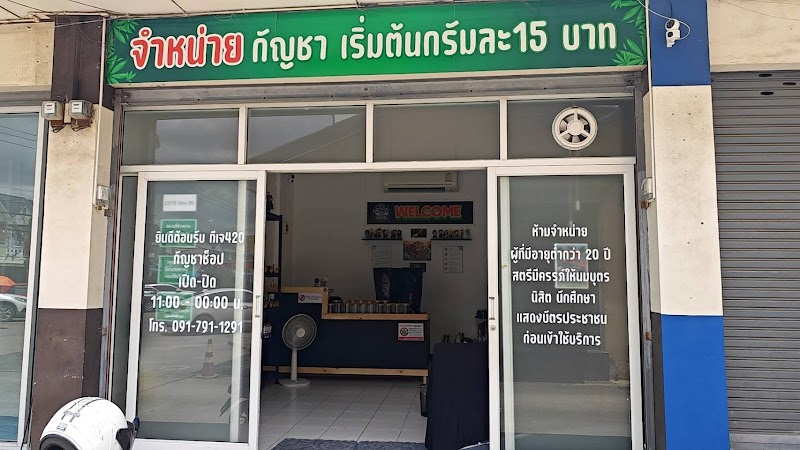 ร้าน กัญชา TJ420 Cannabis ตลาดคลองชมพู่ ร้าน กัญชา TJ420 Cannabis ตลาดคลองชมพู่
