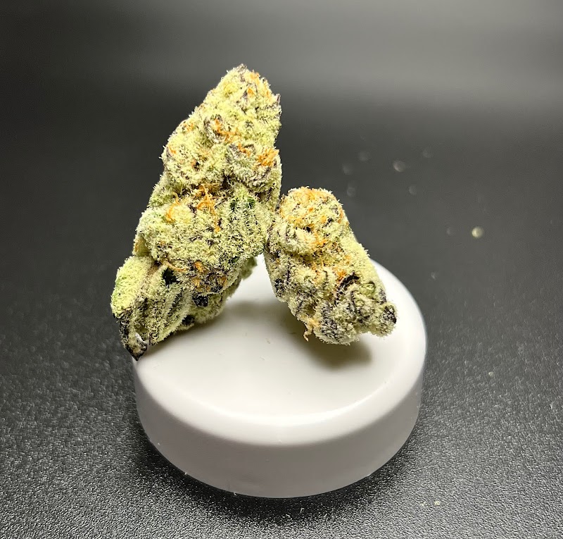 Top Notch Cannabis