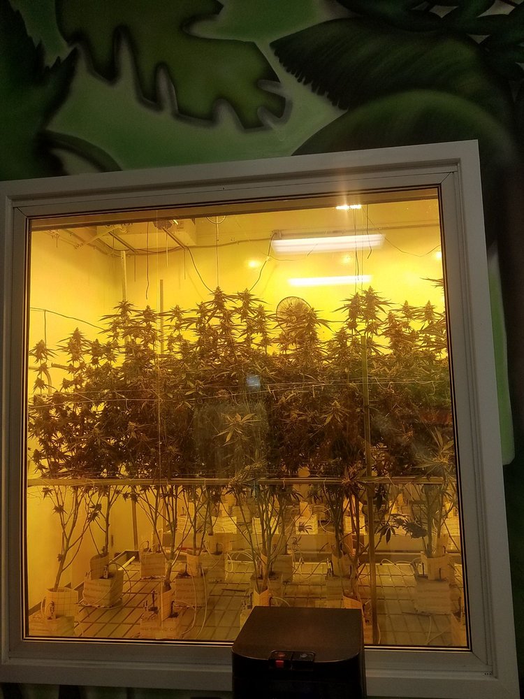 Traditional DTLA - Cannabis Dispensary Traditional DTLA - Cannabis Dispensary