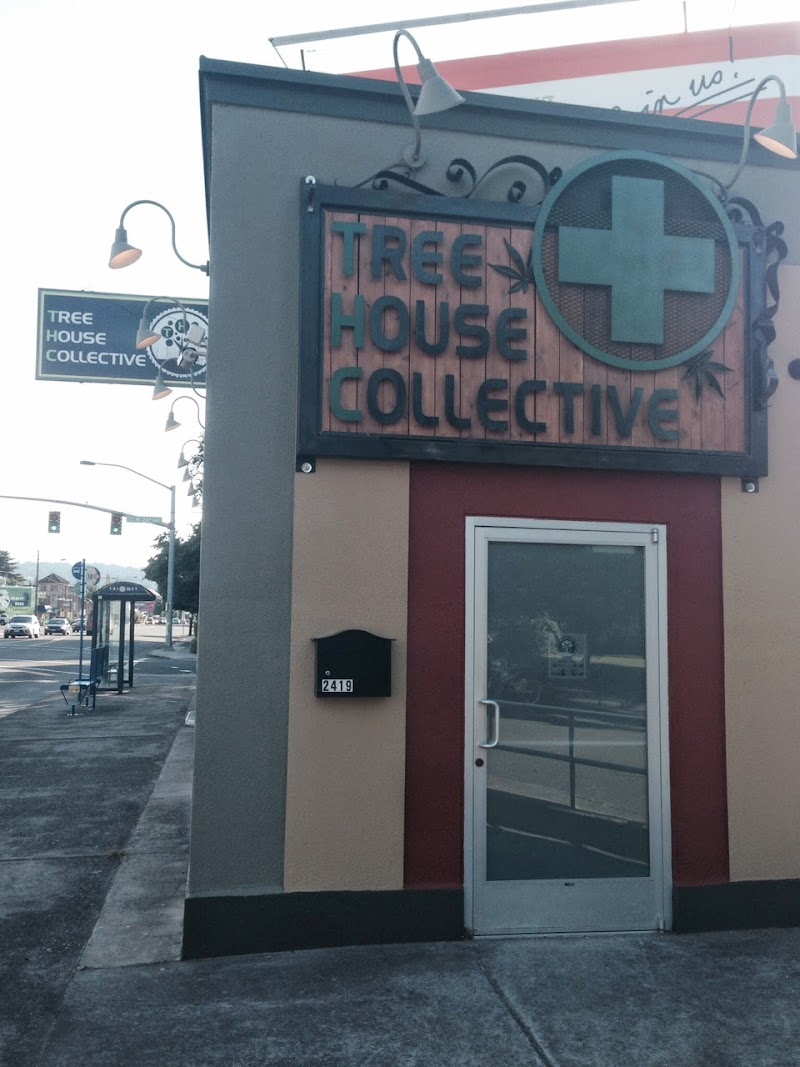Tree House Collective - Sandy Tree House Collective - Sandy