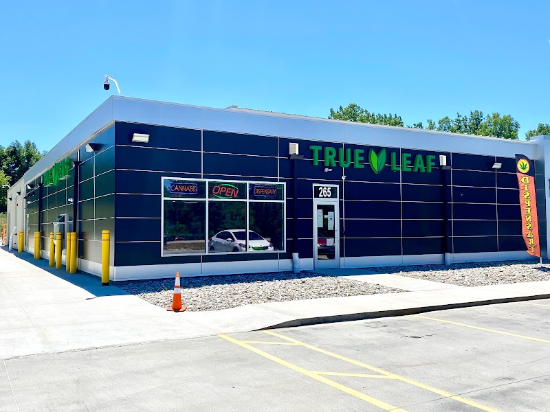 True Leaf Cannabis Shop