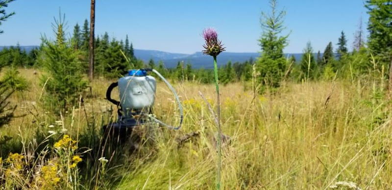 Union County Weed Control