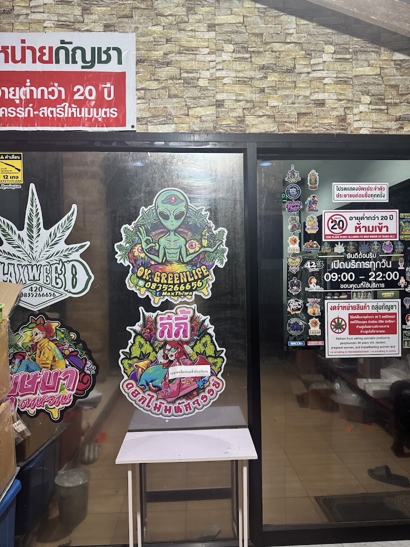 โอเค กรีนไลฟ์ ร้านกัญชา เขาค่าย