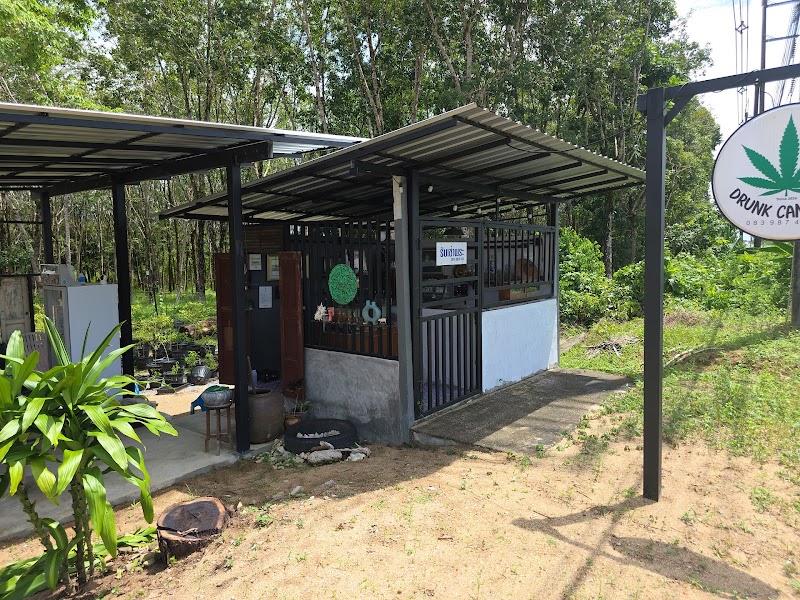 เมากัญ